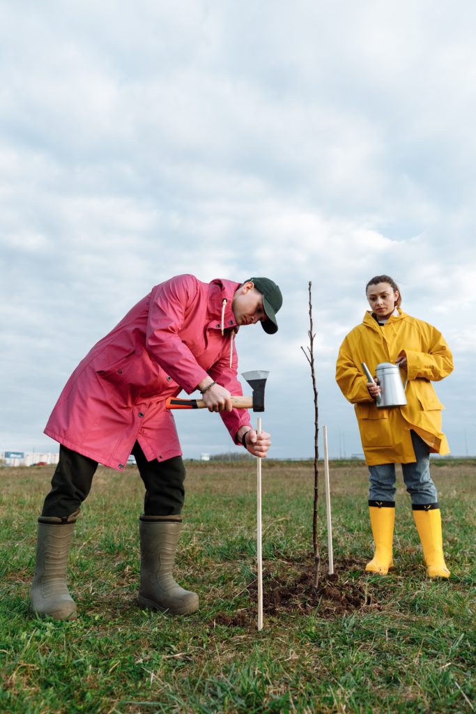 Tree planting